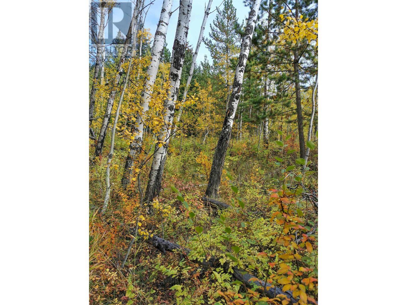 100 Mile House, BC V0K2E3,268 BLACKSTOCK ROAD