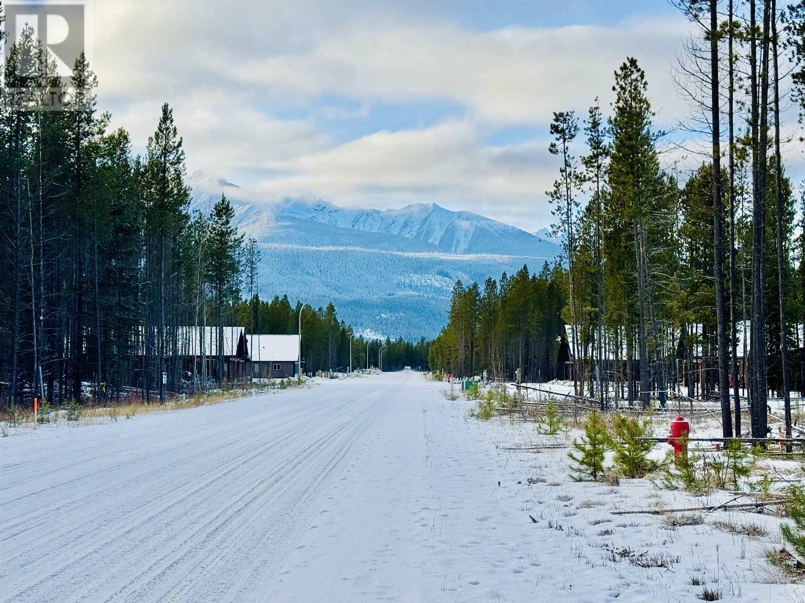Valemount, BC V0E2Z0,1015 18TH AVENUE