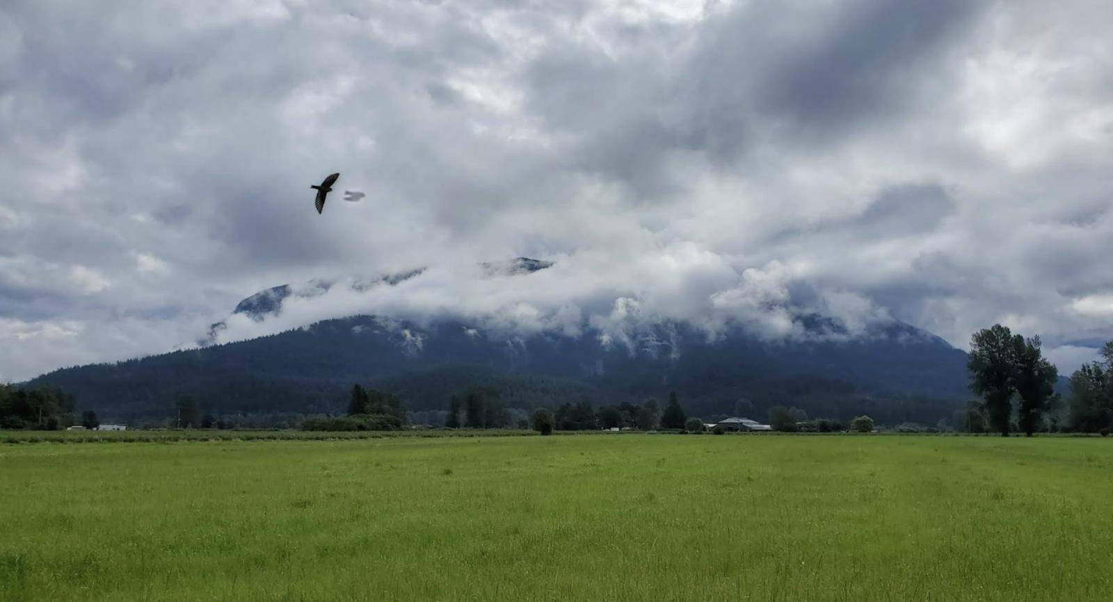 Harrison Mills, BC V0M1A0,349 KENNEDY ROAD|Harrison Mills