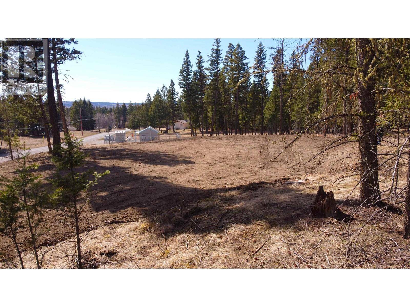 108 Mile Ranch, BC V0K2Z0,LOT 1 GLOINNZUN DRIVE