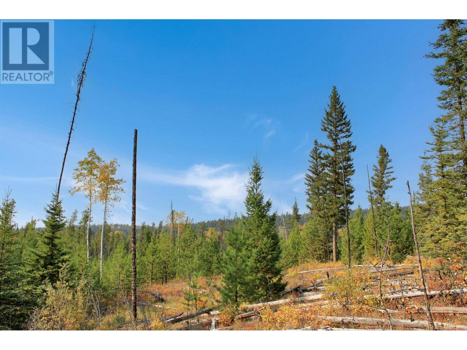 Bridge Lake, BC V0K1E0,LOT 8 BROWN RD #PROP