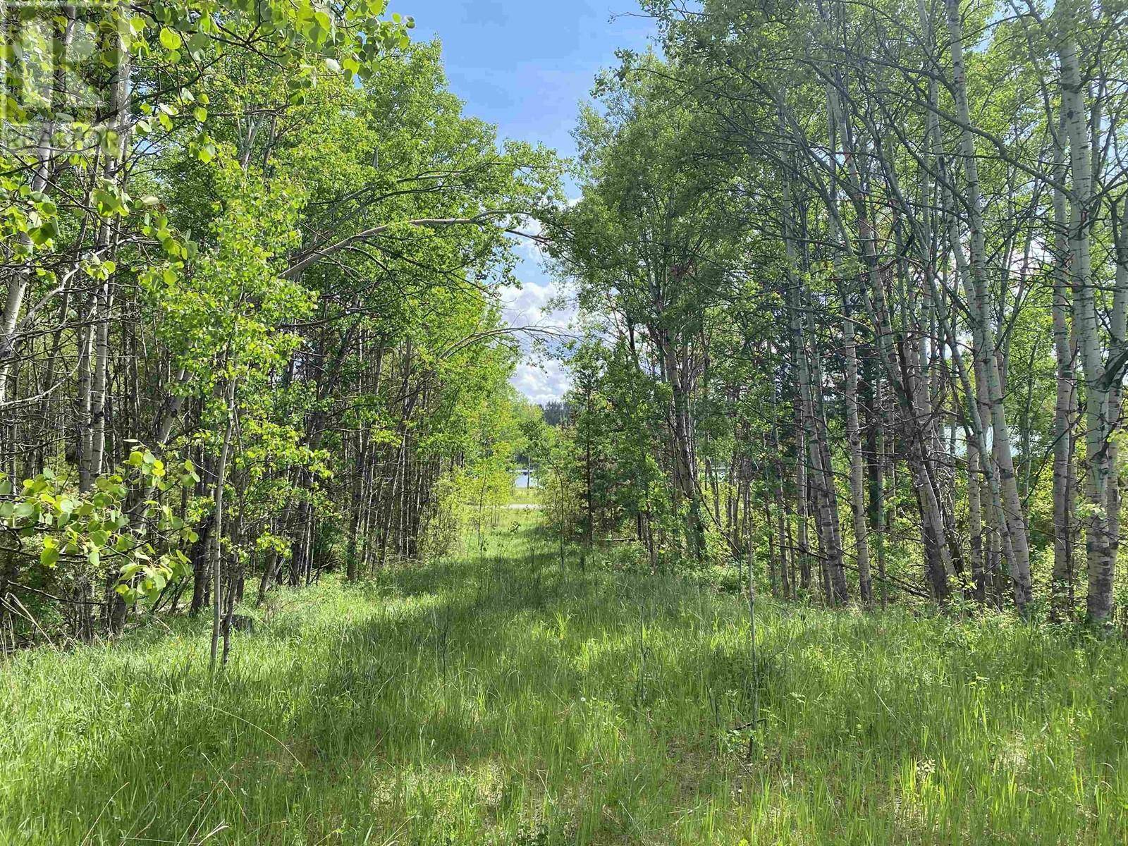 103 Mile House, BC V0K2E1,3 LAKESIDE CT #LOT