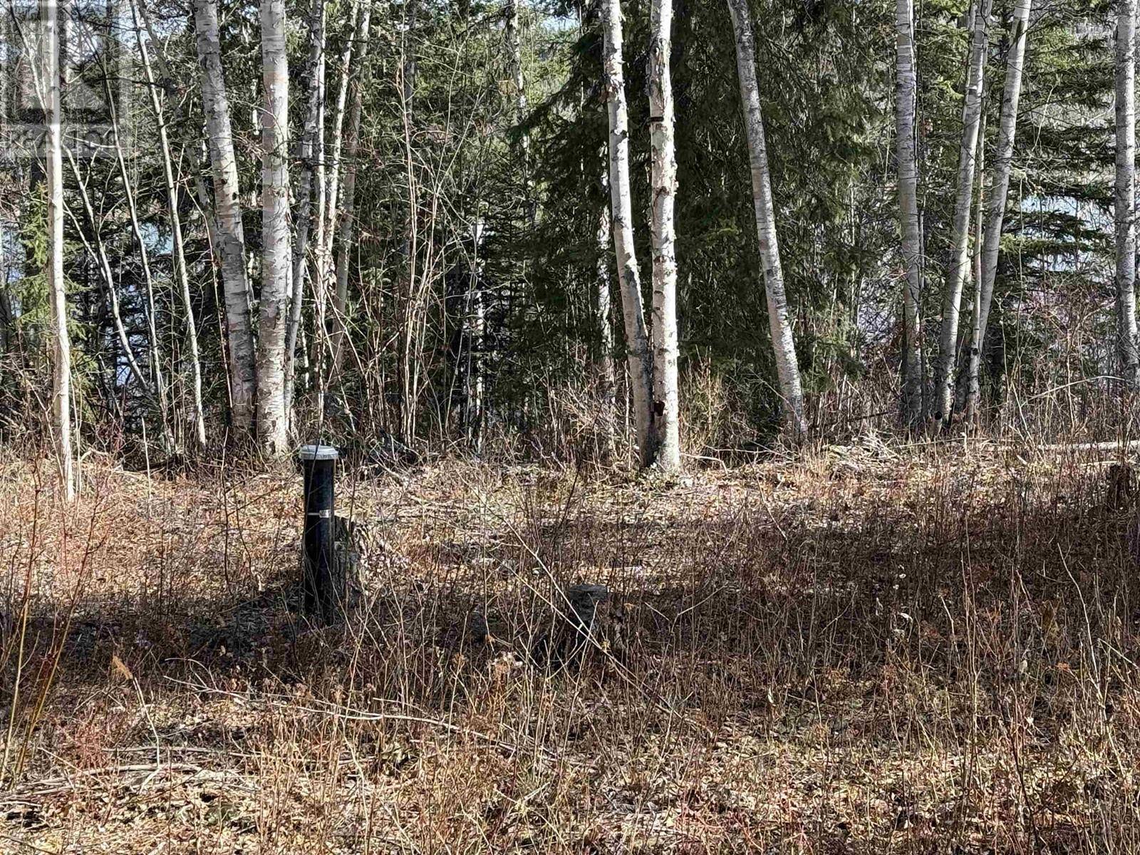 Quesnel, BC V2J6N7,LOT 1 GOOK ROAD
