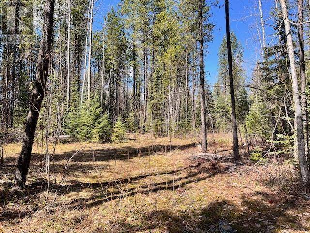 Quesnel, BC V2J6X5,4 POLLARD RD #LOT