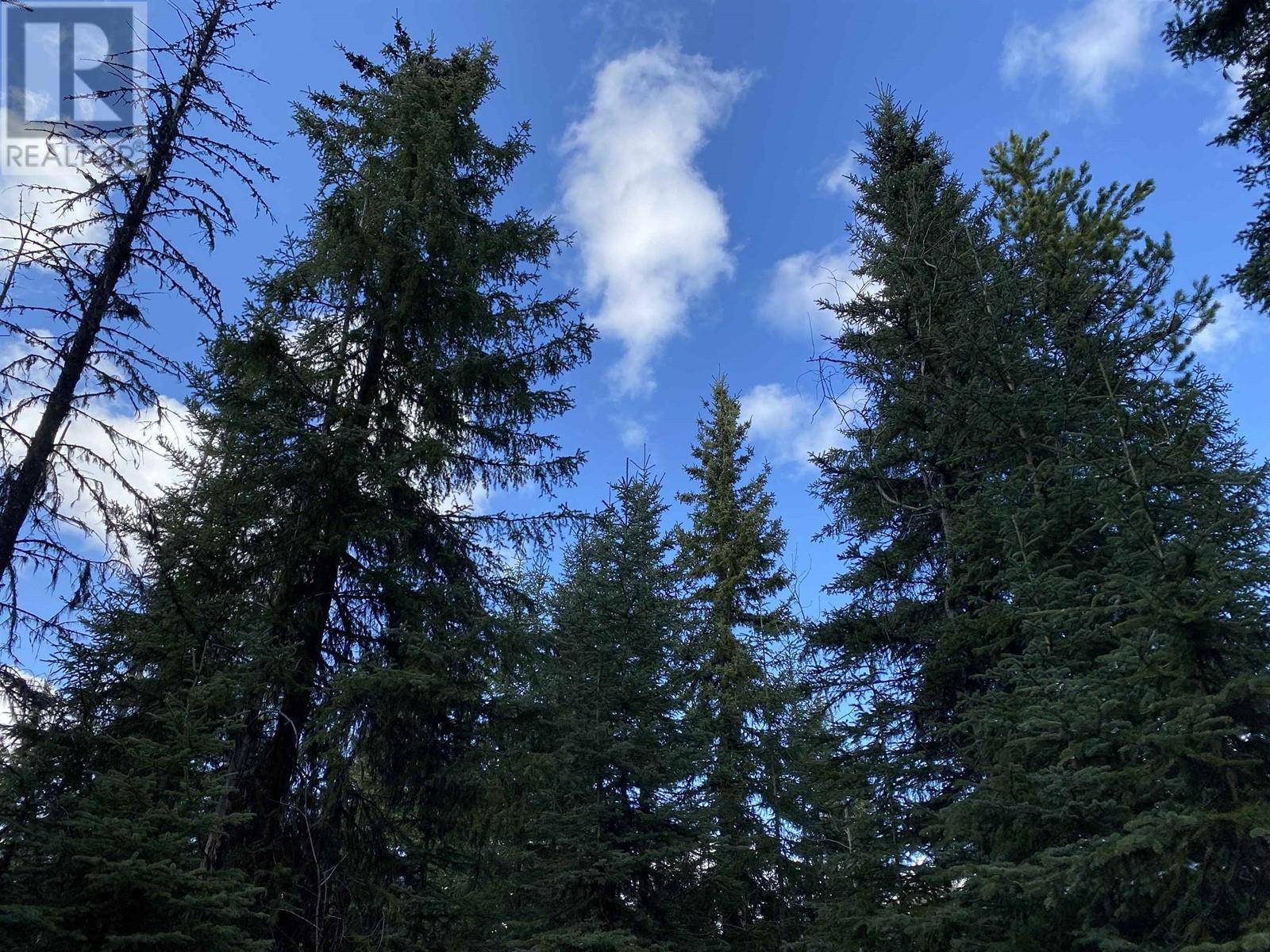 Deka Lake / Sulphurous / Hathaway Lakes, BC V0K2E0,Lot 296 LUDLOM ROAD