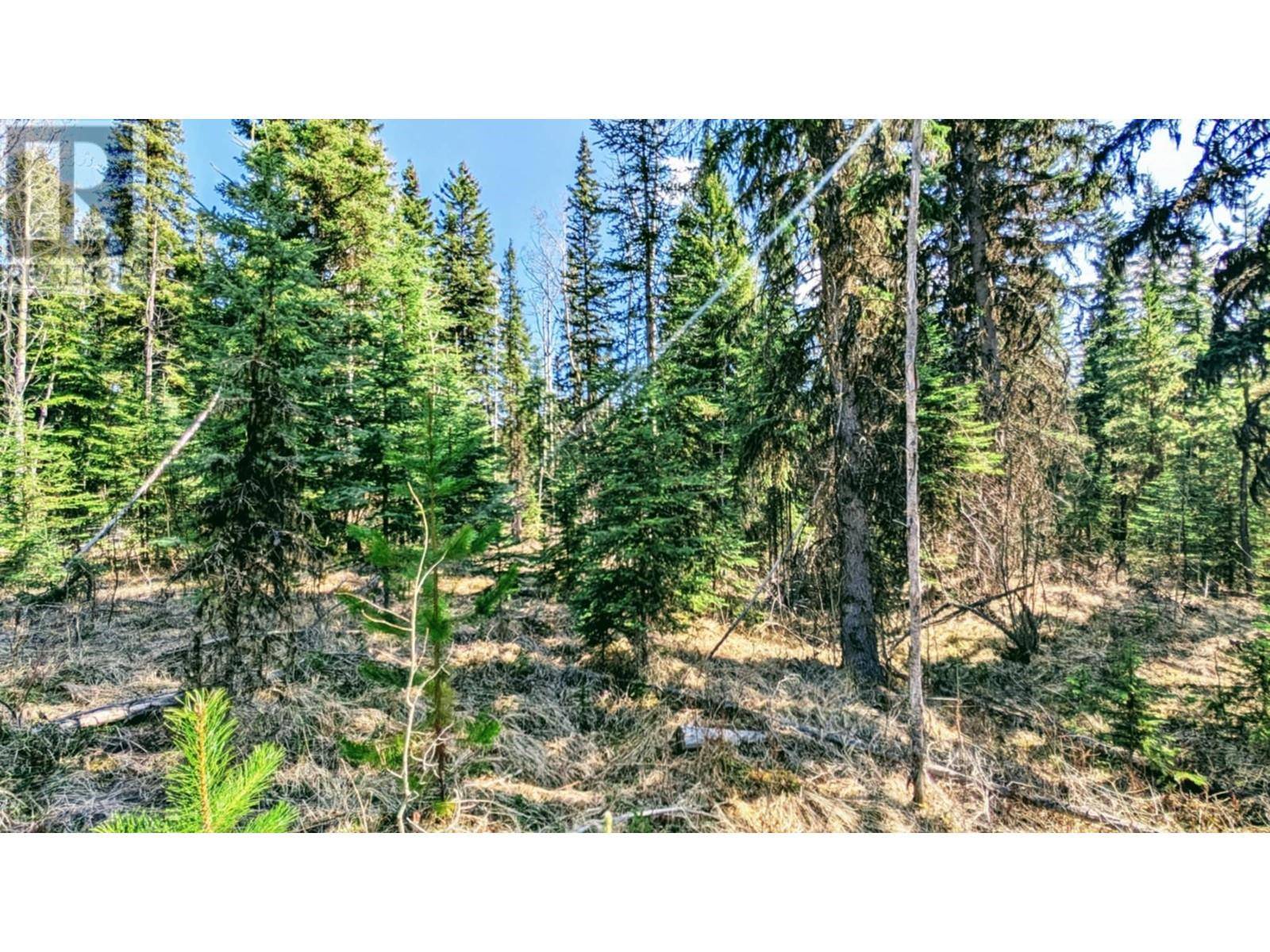 100 Mile House, BC V0K1X3,LOT 252 KING ROAD