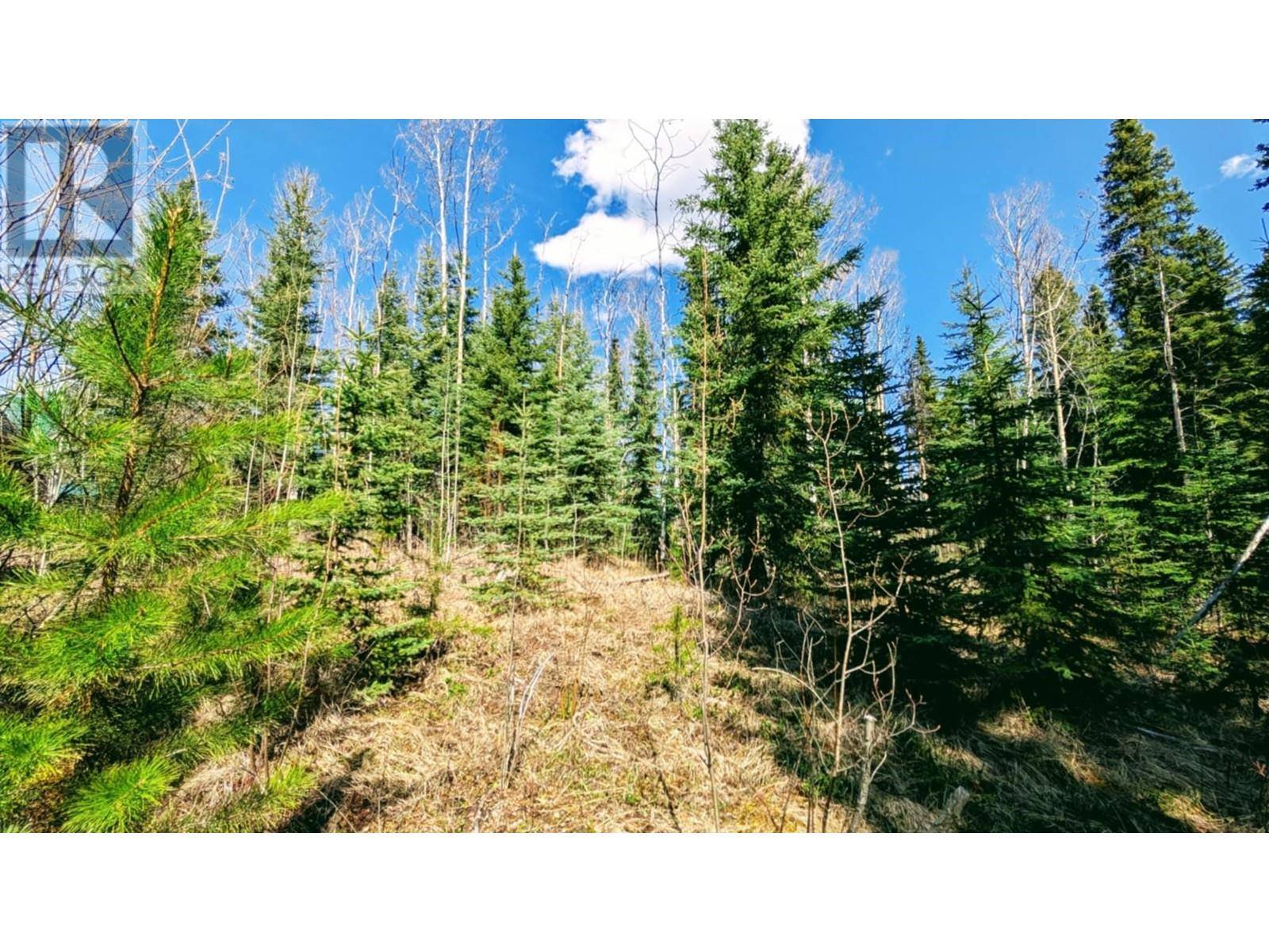100 Mile House, BC V0K1X3,LOT 252 KING ROAD