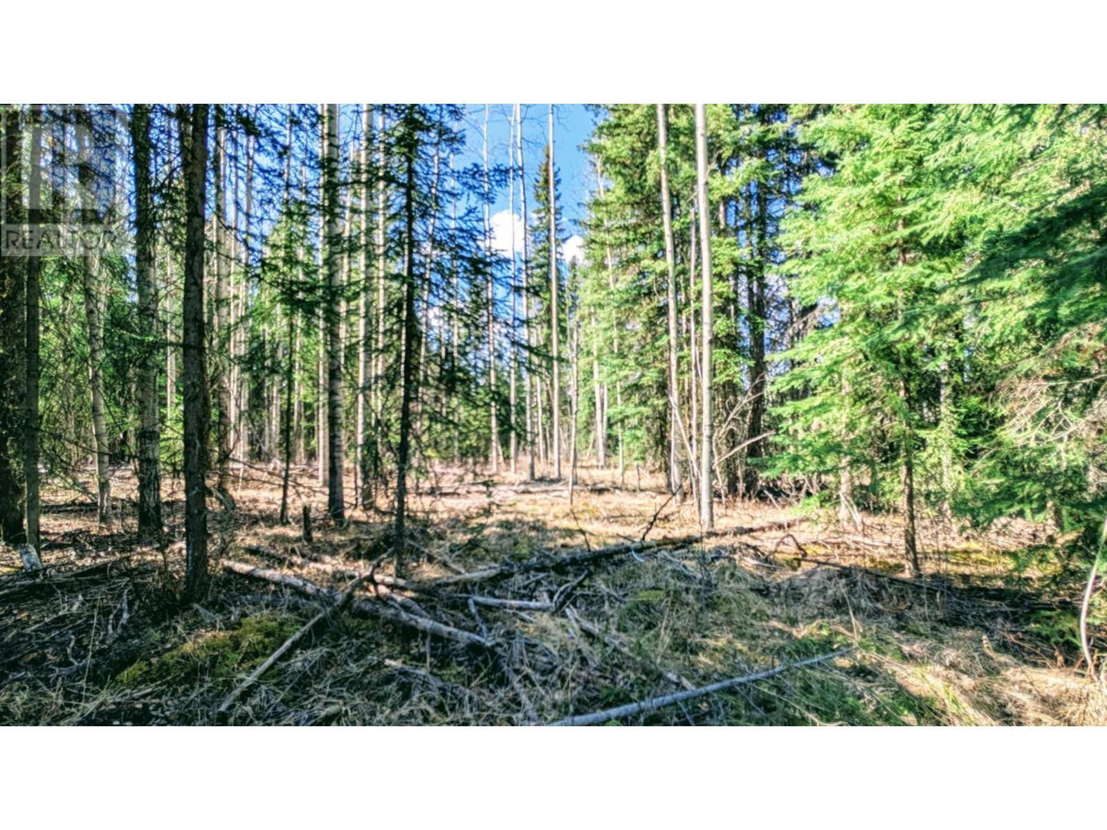 100 Mile House, BC V0K1X3,317 LUDLOM RD #LOT