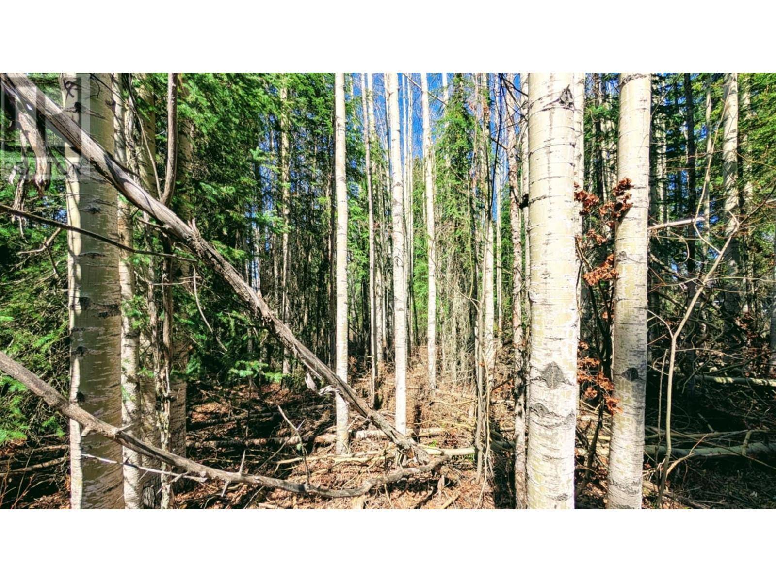 100 Mile House, BC V0K1X3,317 LUDLOM RD #LOT