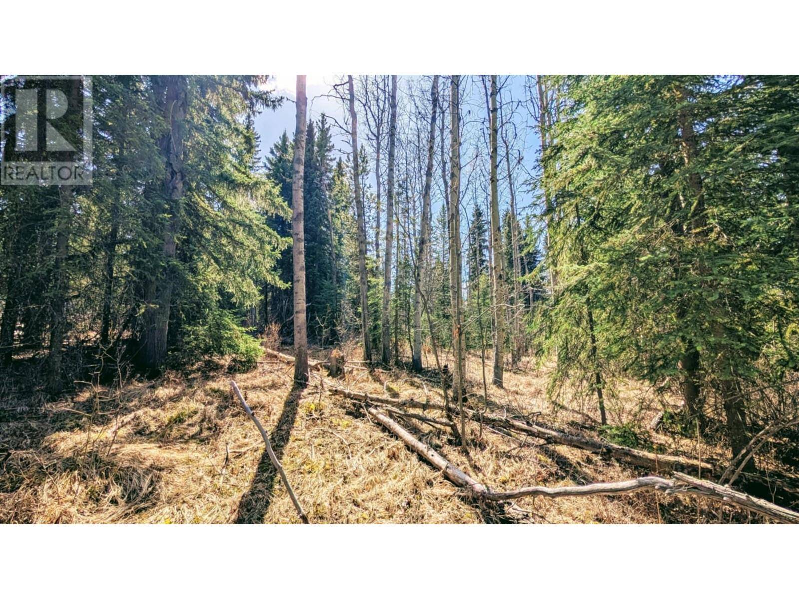 100 Mile House, BC V0K1X3,317 LUDLOM RD #LOT