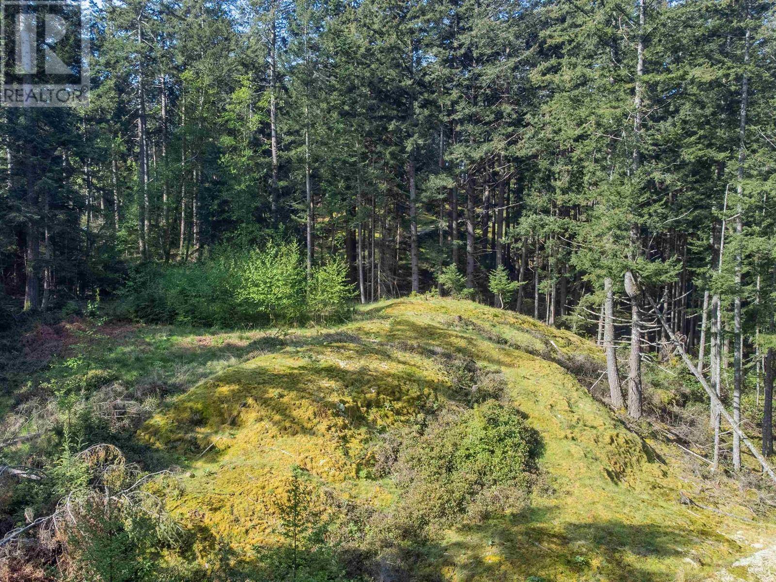Bowen Island, BC V0N1G2,2070 CAPE DRIVE