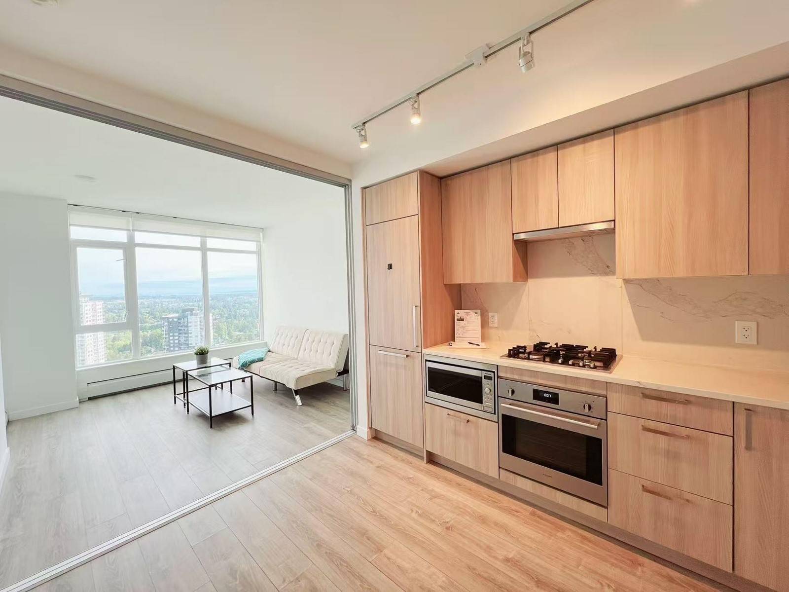 Surrey, BC V3T0S1,13350 CENTRAL #3510