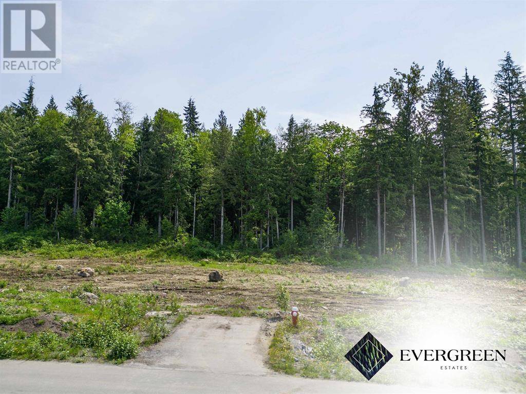 Maple Ridge, BC V2W1C2,12462 271 STREET