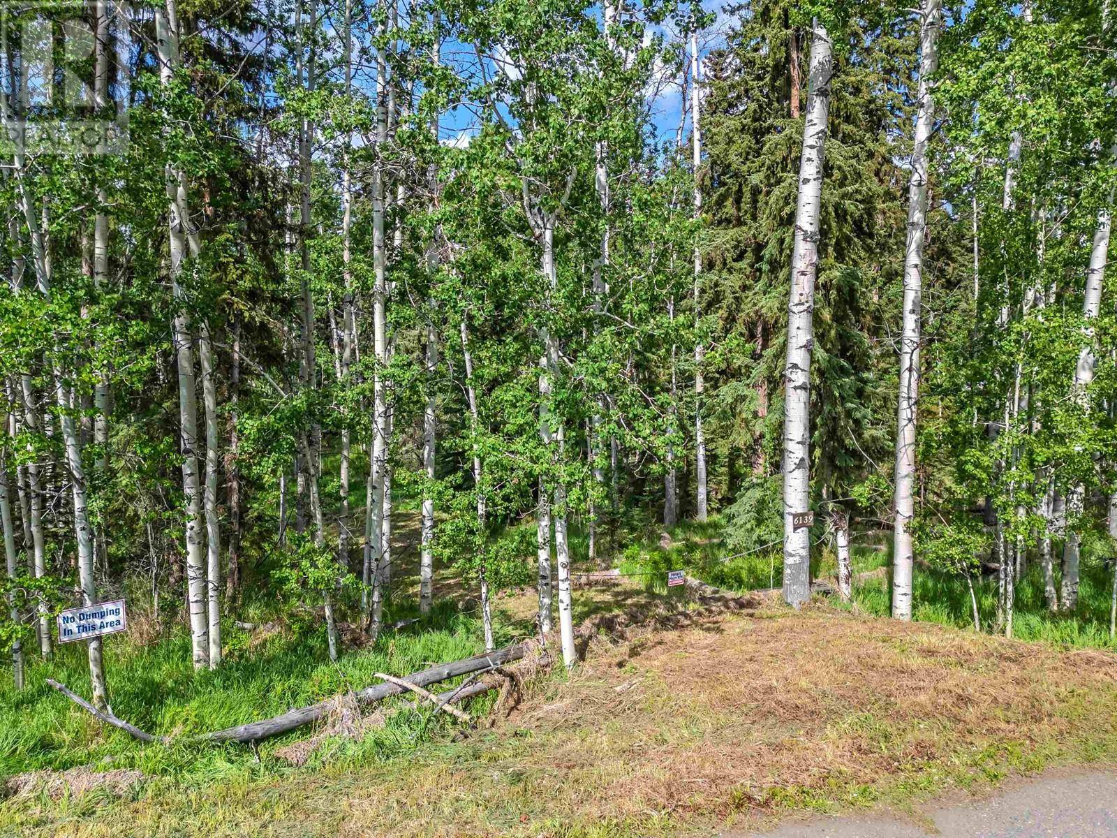 Horse Lake, BC V0K2E3,6139 LAKESHORE DRIVE