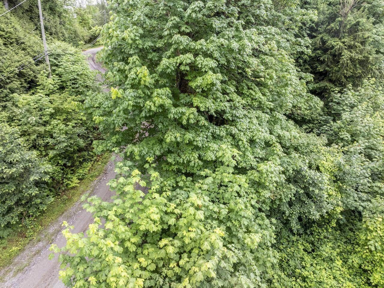 Hope, BC V0X1L3,22793 ROSS ROAD|Hope