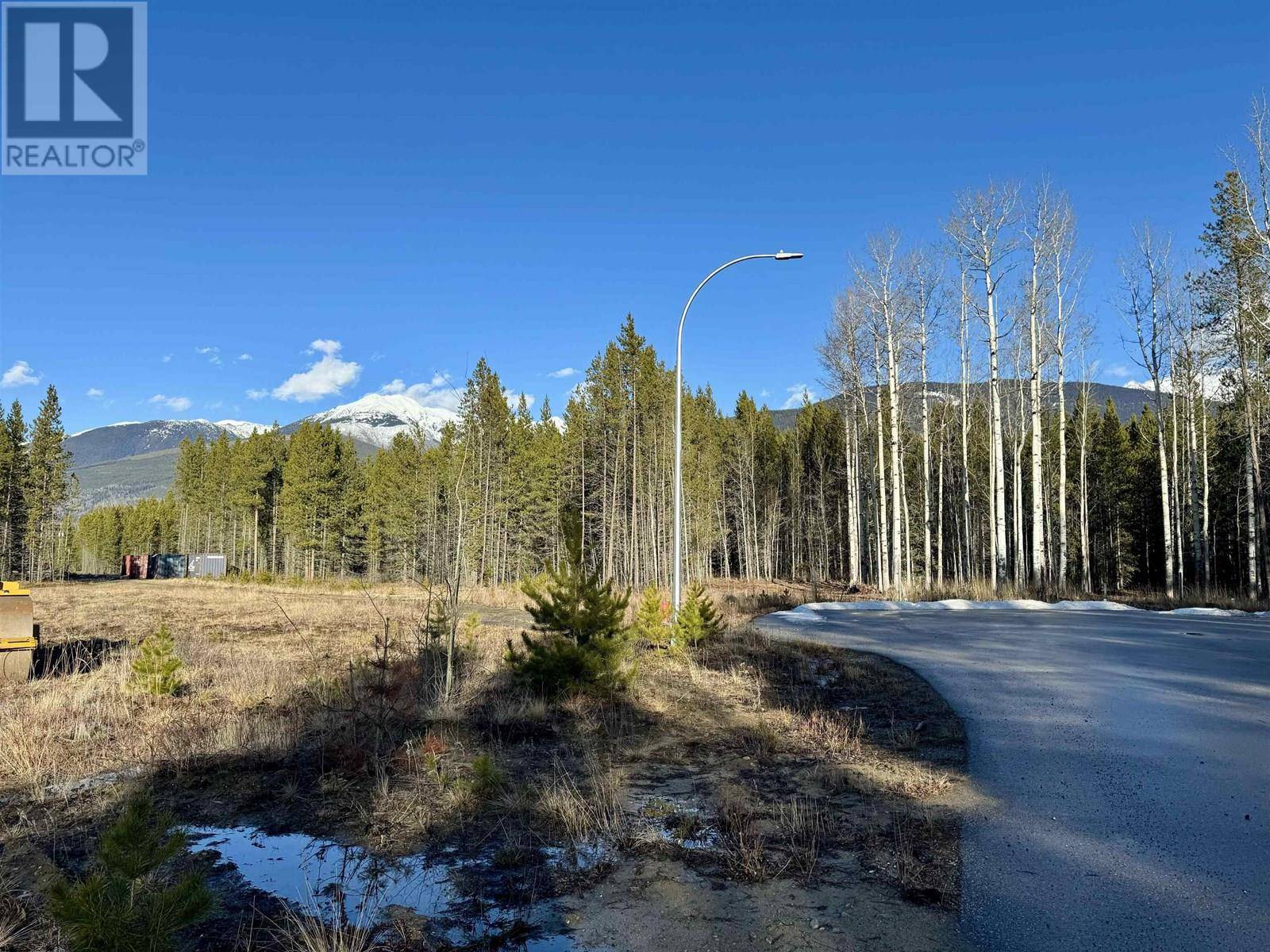 Valemount, BC V0E2Z0,1170 FOWLER PLACE
