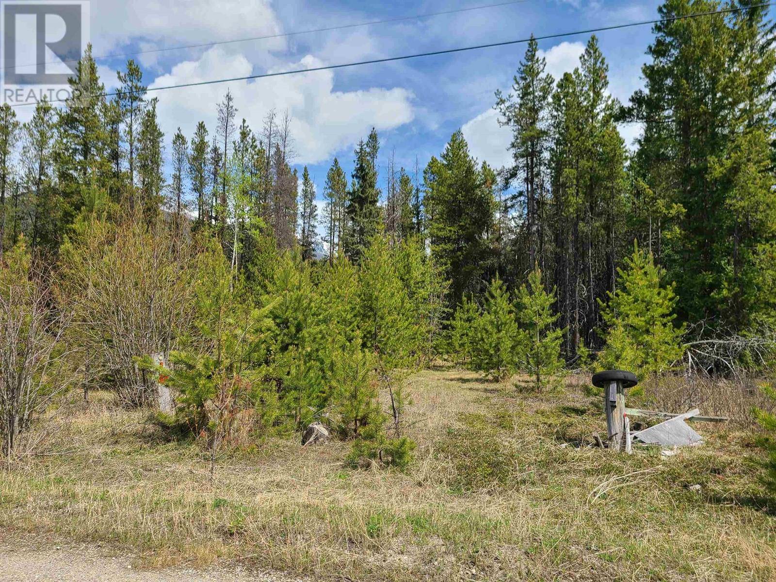 Valemount, BC V0E2Z0,2300 MAIN STREET