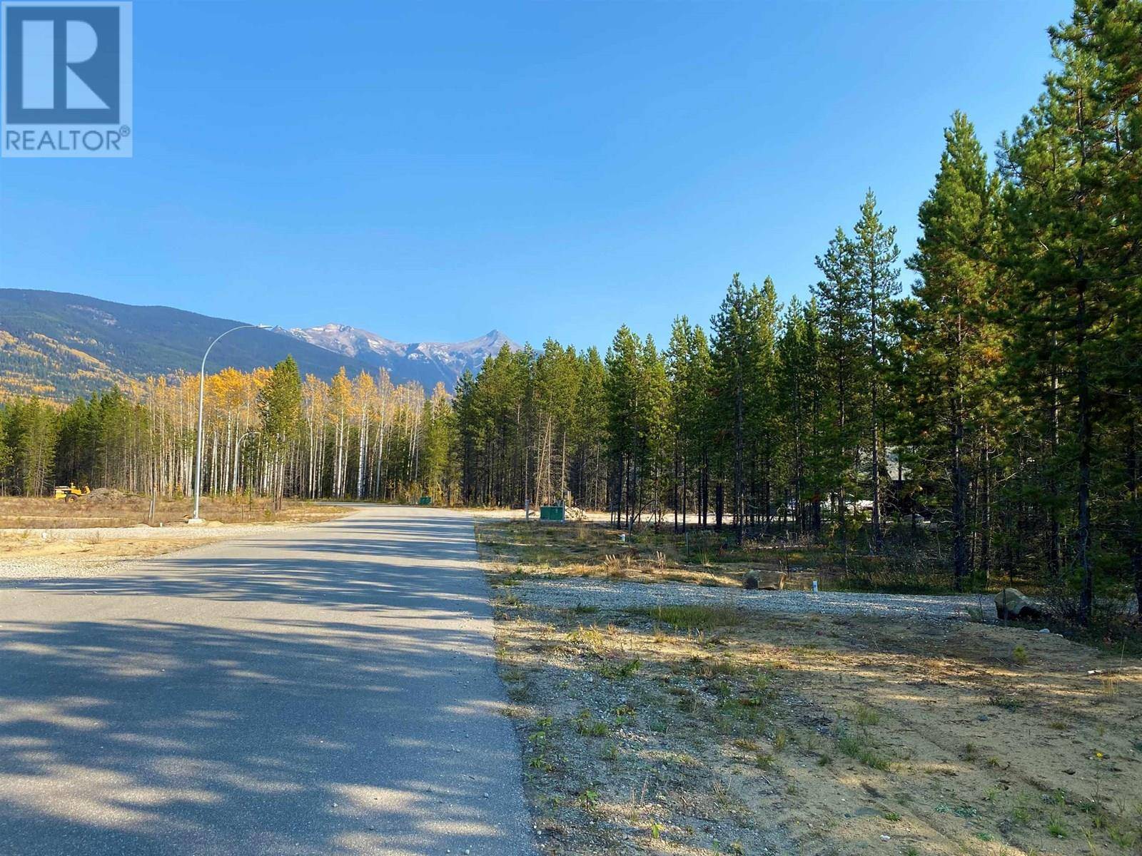 Valemount, BC V0E2Z0,1205 FOWLER PLACE