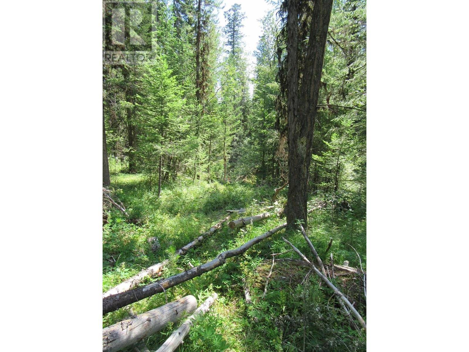 100 Mile House, BC V0K1X3,LOT 172 WOMACK ROAD