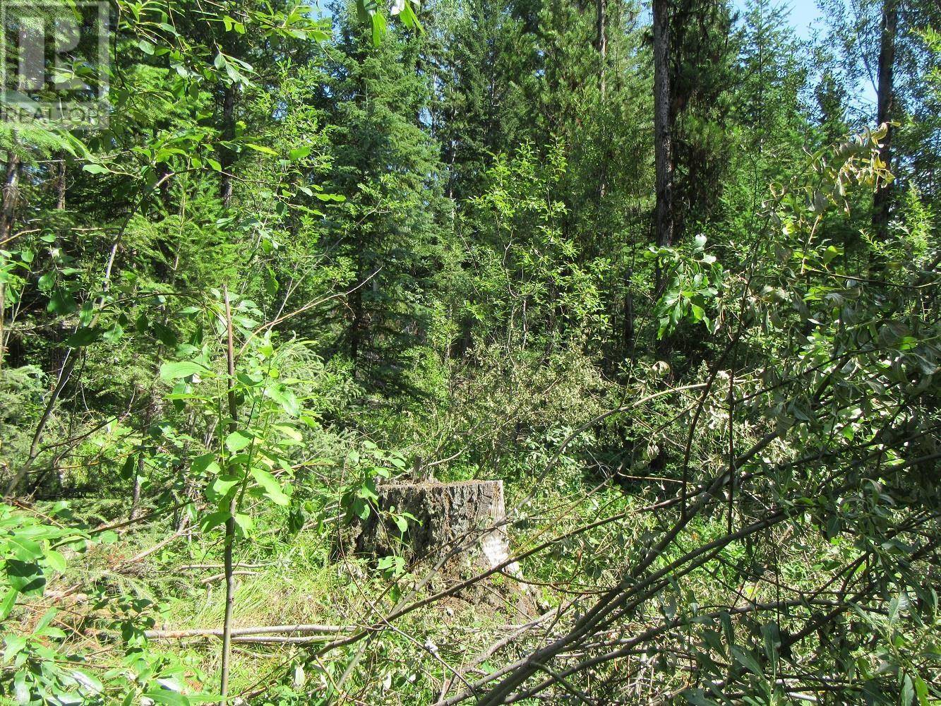 100 Mile House, BC V0K1X3,LOT 172 WOMACK ROAD