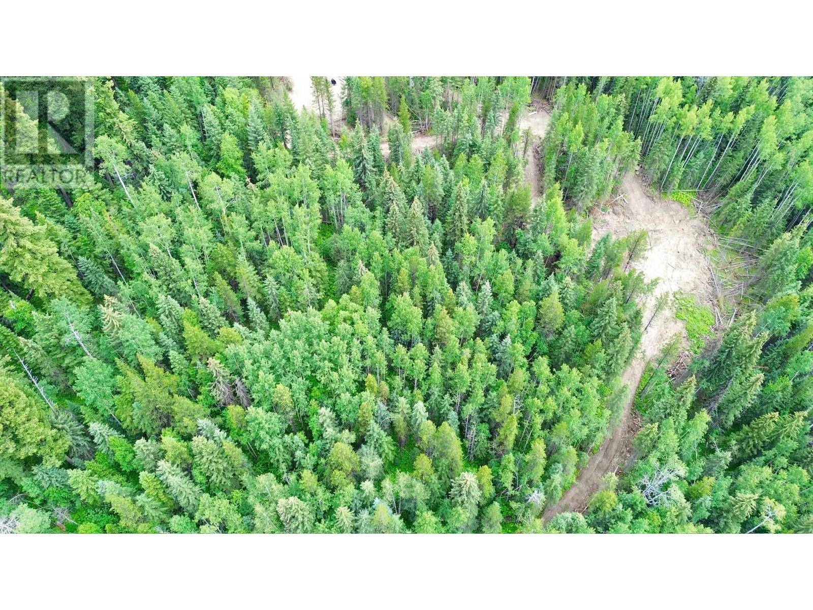 Horsefly, BC V0L1L0,5132 CAVE ROAD