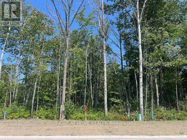 Wasaga Beach, ON L9Z0L4,LOT 77 MAPLESIDE DRIVE