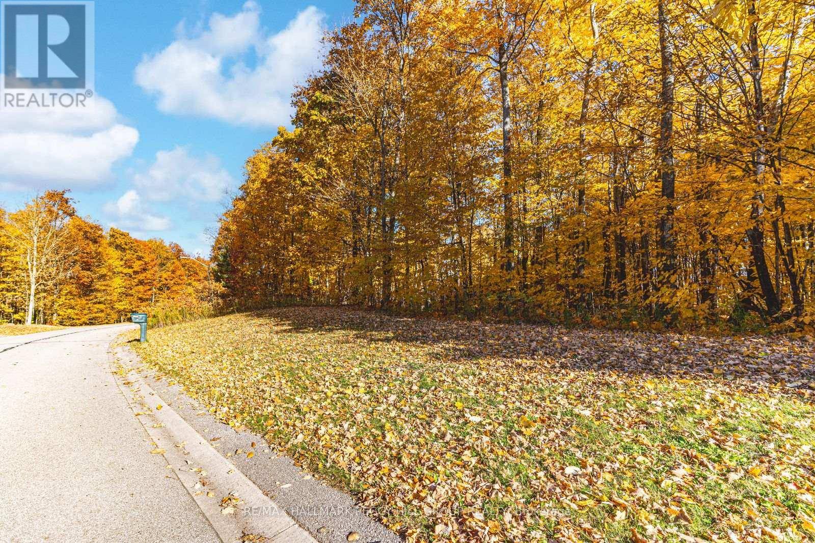 Oro-medonte, ON L0L2L0,17 MAPLE RIDGE ROAD