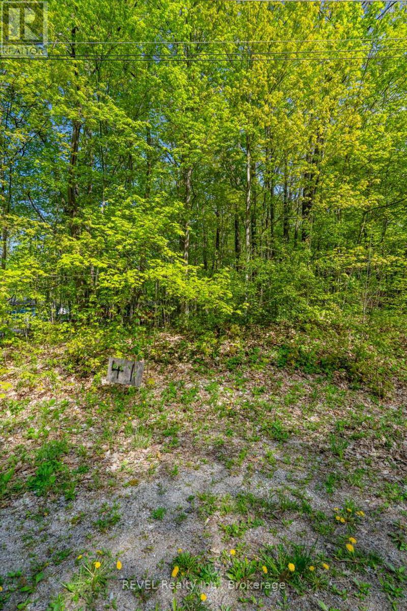 Tiny, ON L9M0B2,LOT 41 WAKUNDA CRESCENT