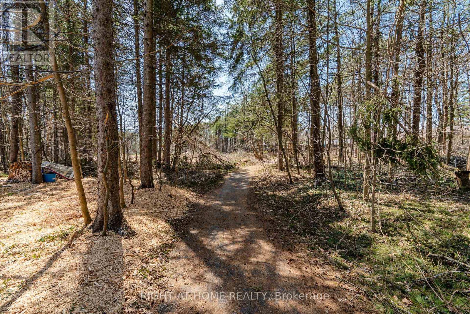 Oro-medonte (horseshoe Valley), ON L0L2L0,6 FAIRWAY COURT