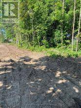 Severn (washago), ON L0K2B0,3365 ARMAND AVENUE
