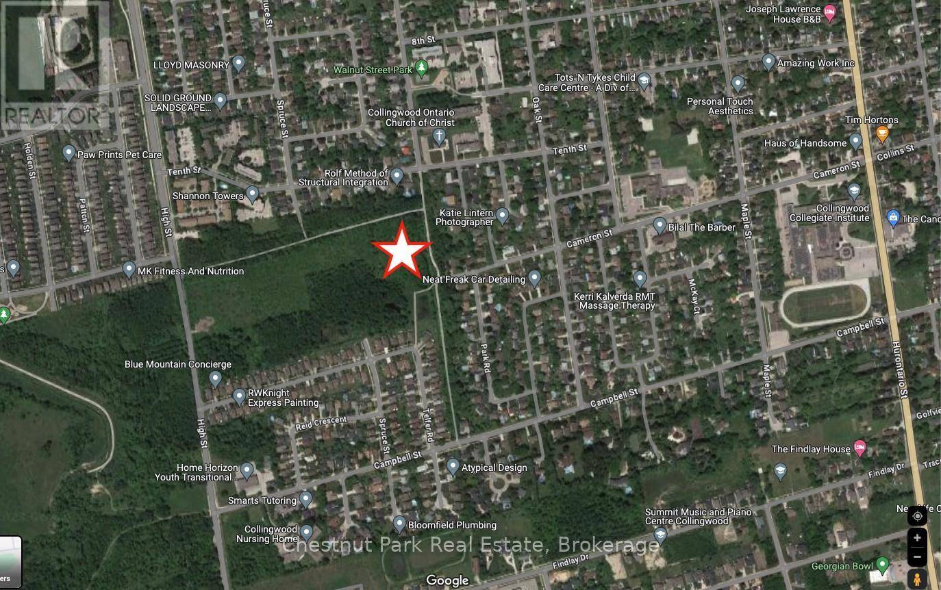 Collingwood, ON L9Y2J8,PT LT M CAMERON STREET