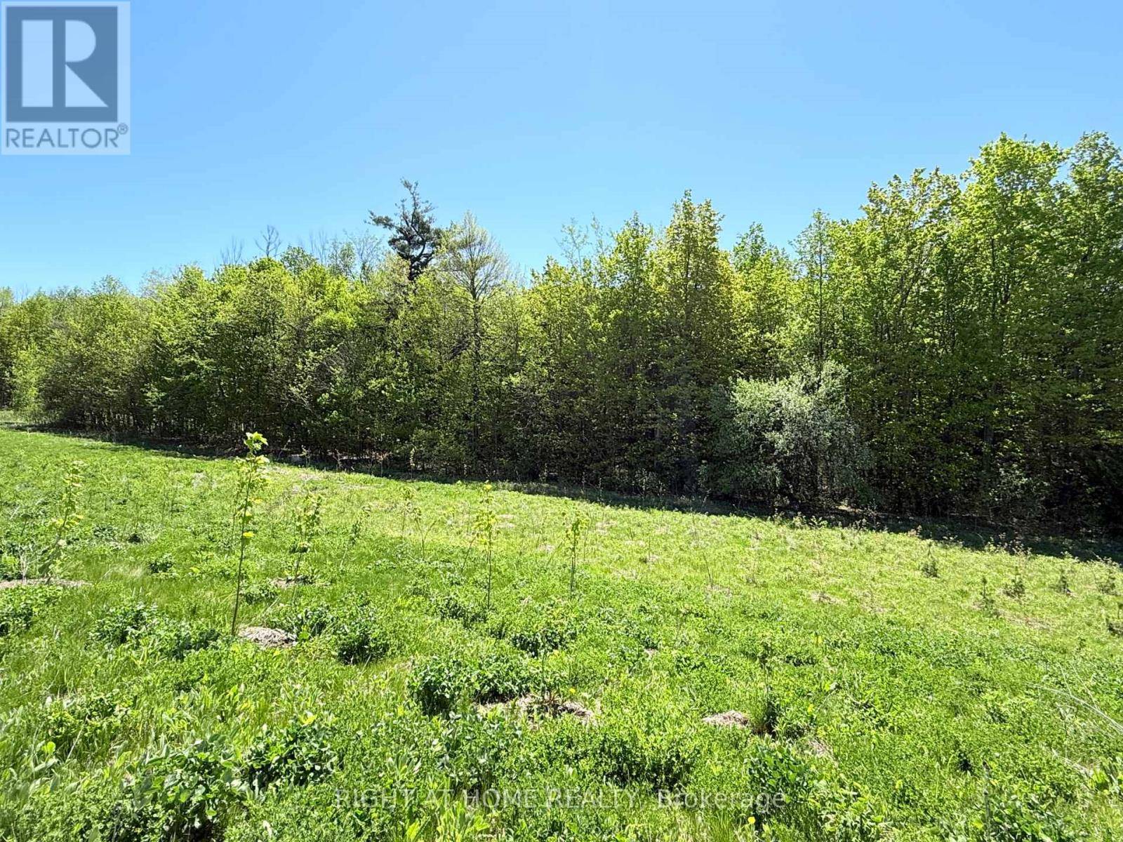 Barrie (painswick South), ON L9J0P3,30 SHEPHERD DRIVE