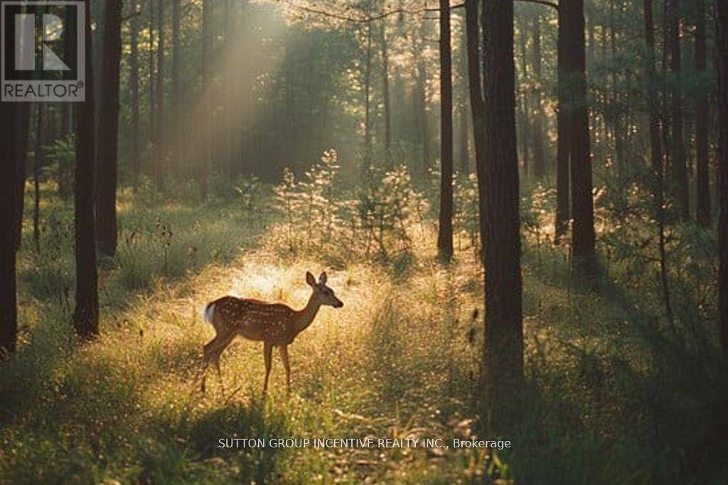 Springwater, ON L0L2K0,13895 COUNTY RD 27 ROAD