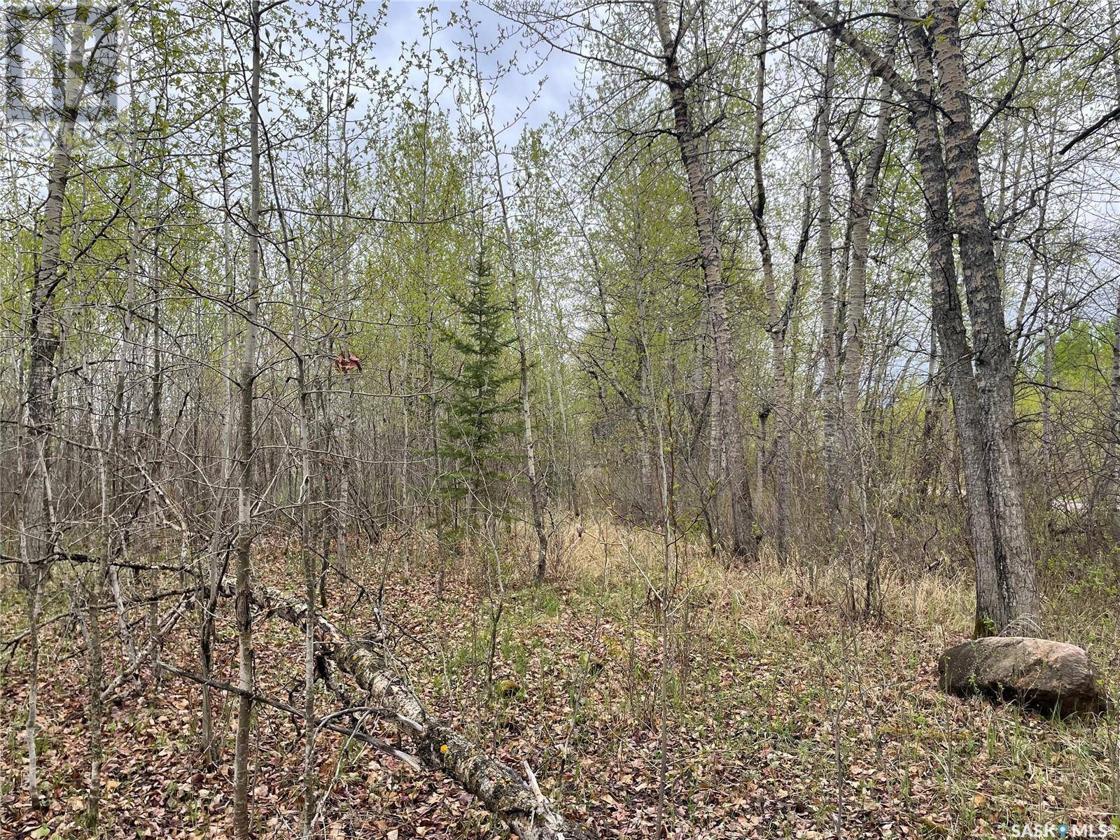 Meadow Lake Rm No.588, SK S0M0T0,5.5km South of Dorintosh Lot 4