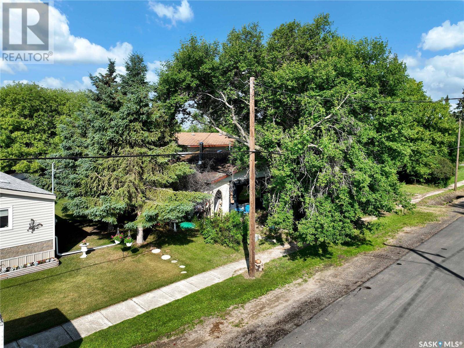 Saltcoats, SK S0A3R0,204 Allan AVENUE