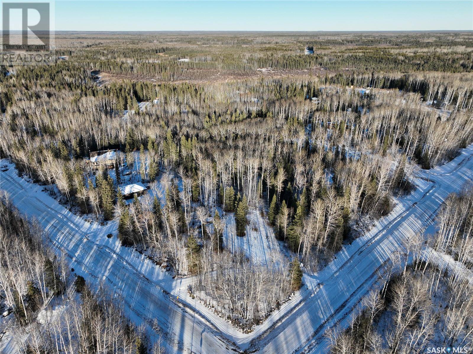 Candle Lake, SK S0J3E0,401 Aspen WAY