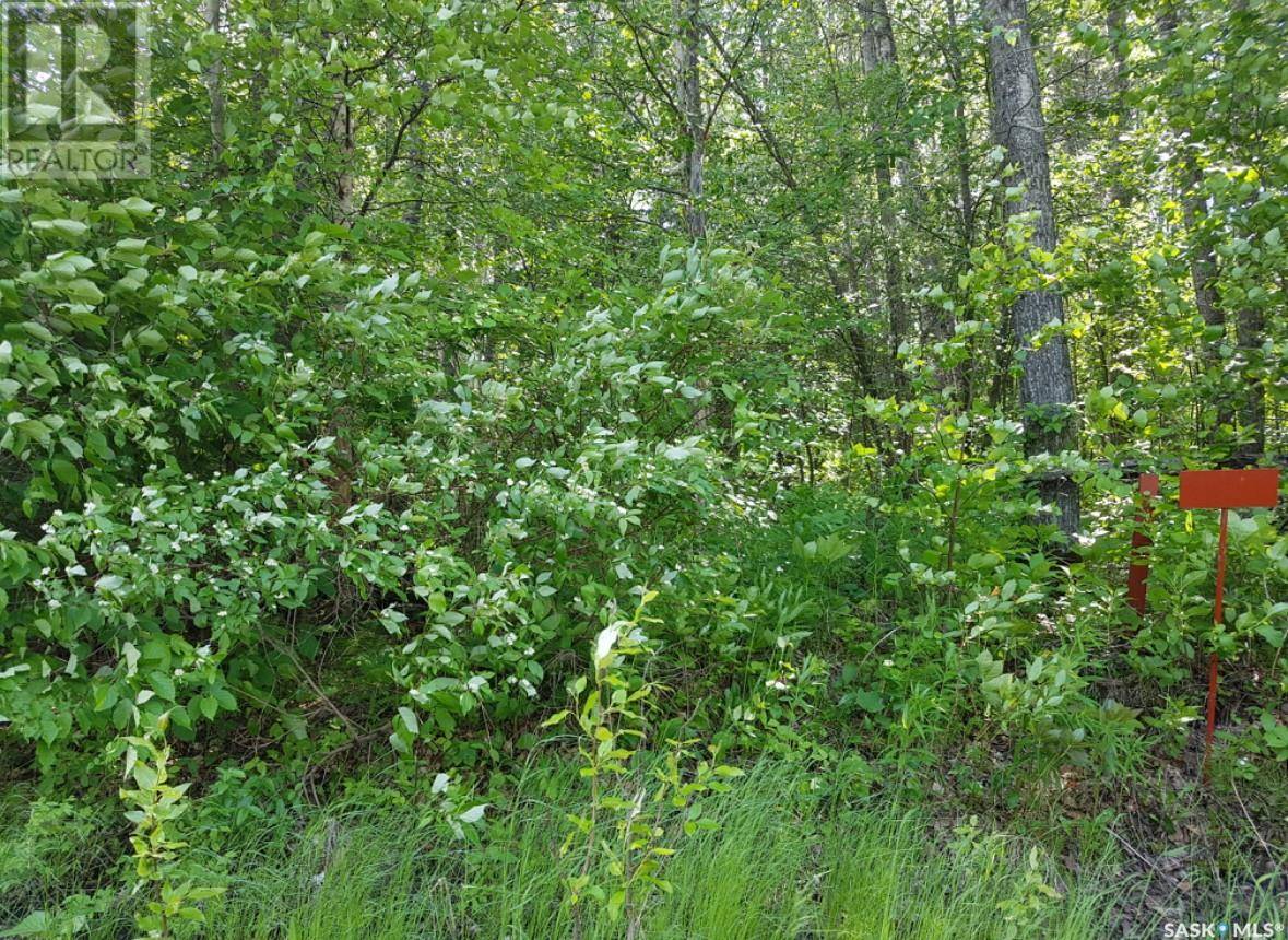 Delaronde Lake, SK S0J0E0,23 delaronde way (John dunn estates)