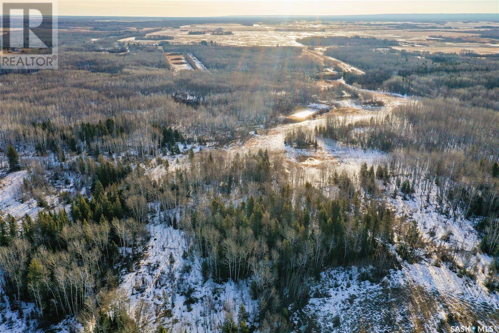 Hudson Bay Rm No. 394, SK S0E0Y0,140.53 AC