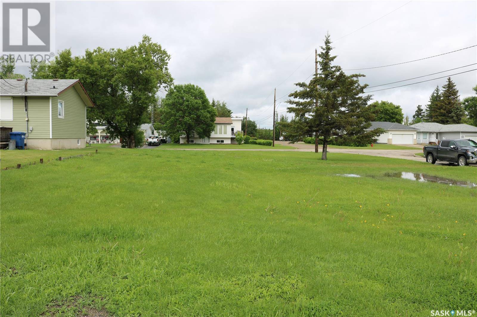 Moosomin, SK S0G3N0,313 Broadway AVENUE