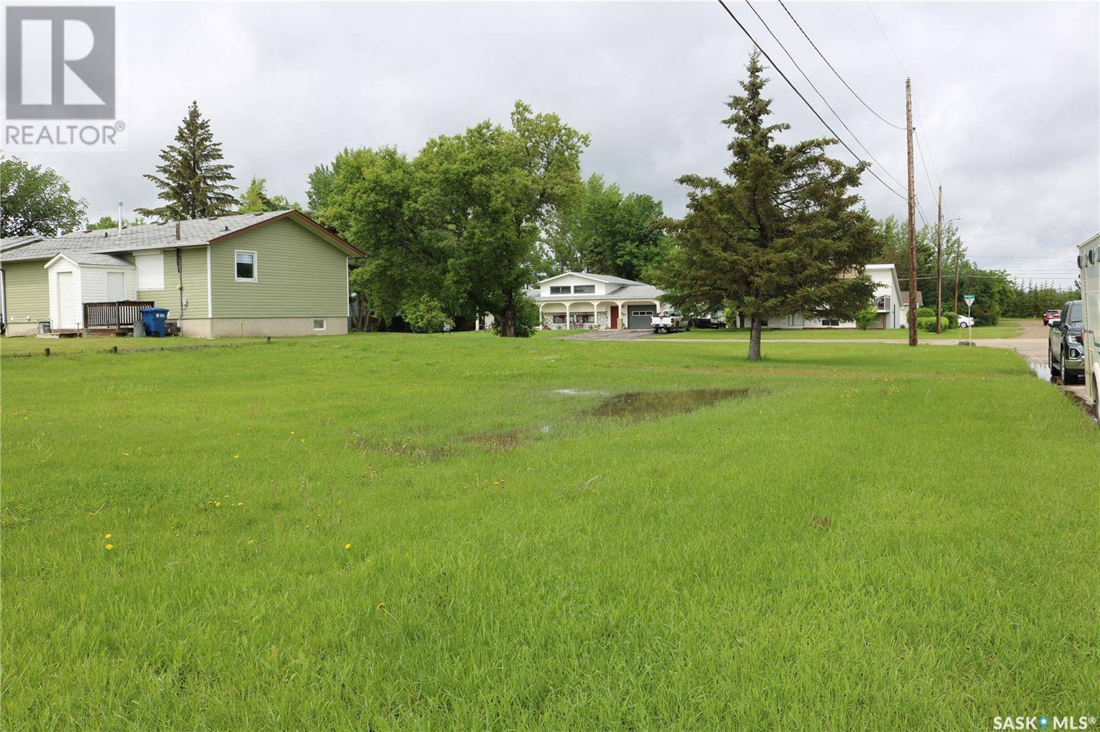 Moosomin, SK S0G3N0,313 Broadway AVENUE