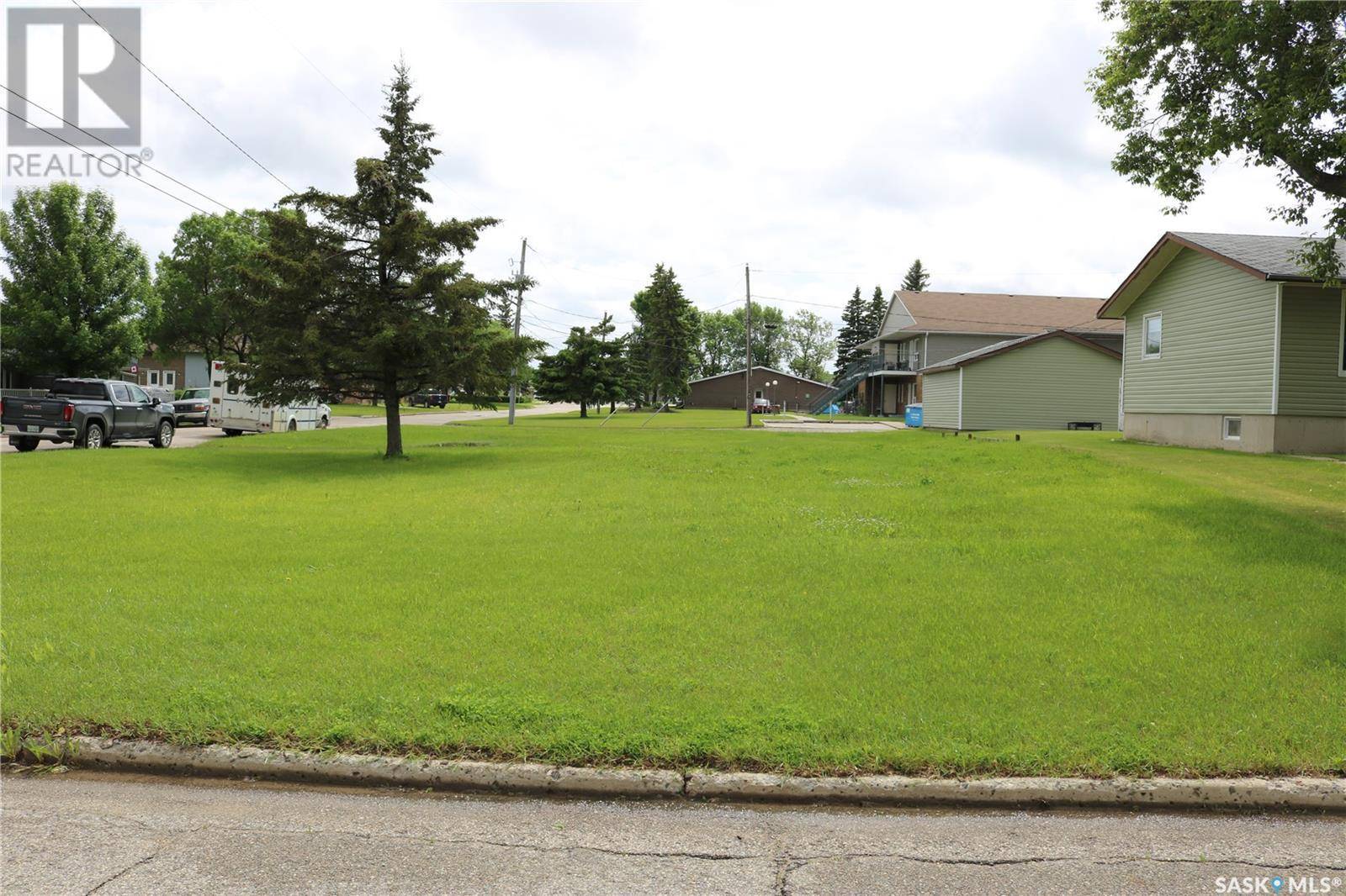 Moosomin, SK S0G3N0,313 Broadway AVENUE