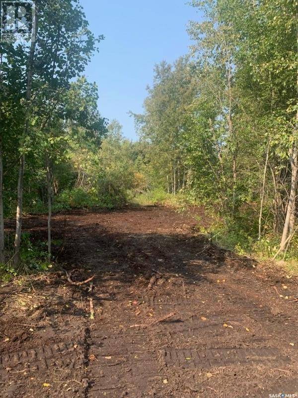 Delaronde Lake, SK S0J0E0,Lot 5 Bower Lane