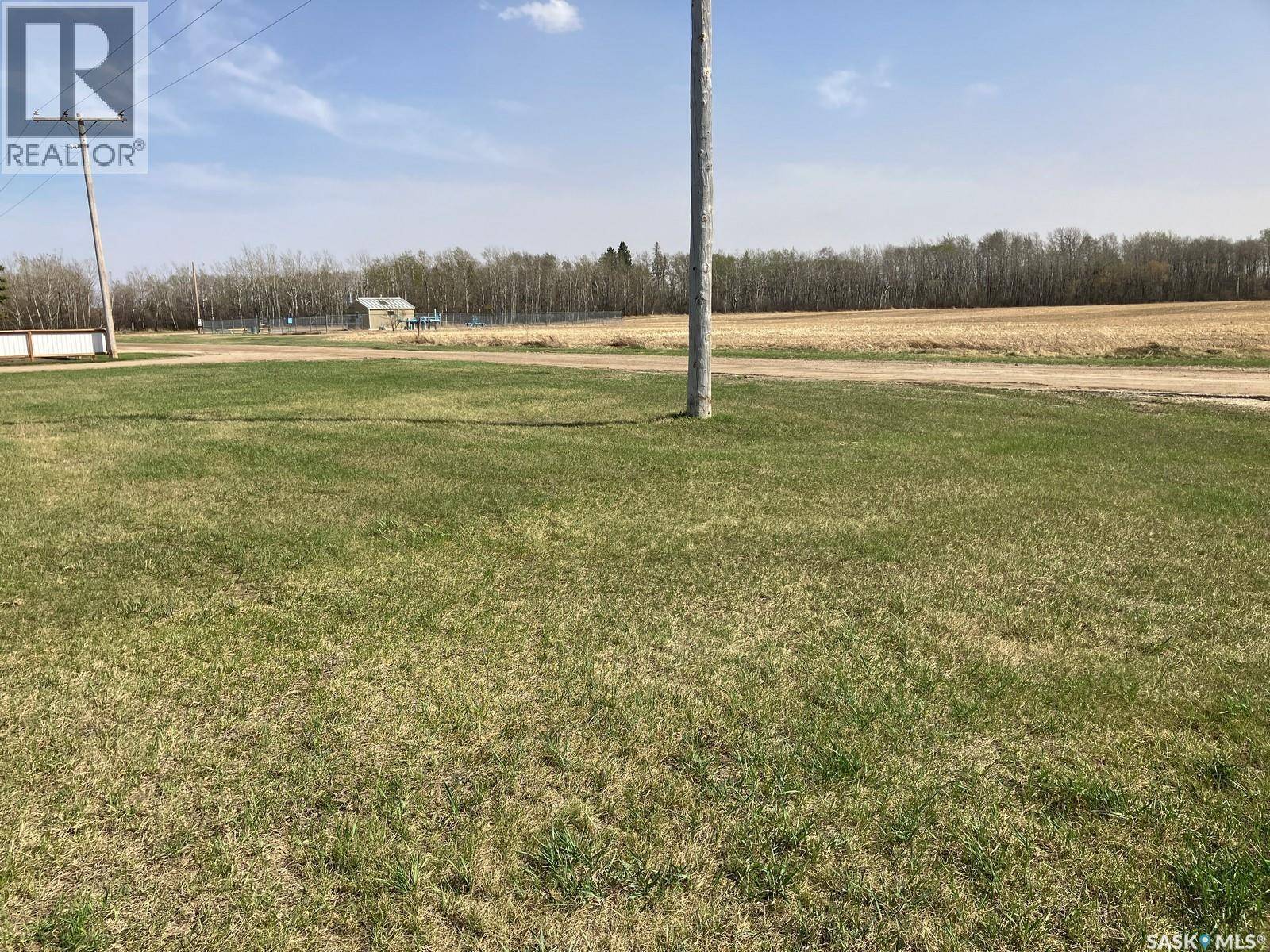 Nipawin, SK S0E1E0,1223 3rd STREET W