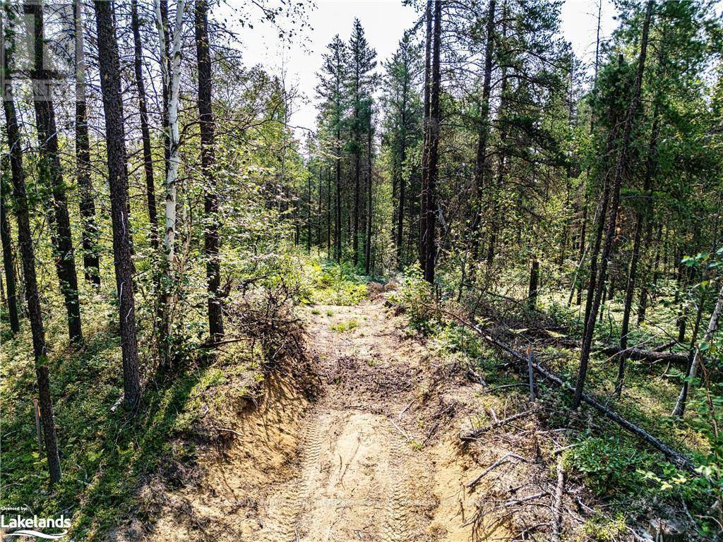 Black River Matheson (matheson Unorganized), ON A0A0A0,0 MUNRO LAKE RD #Lot 6