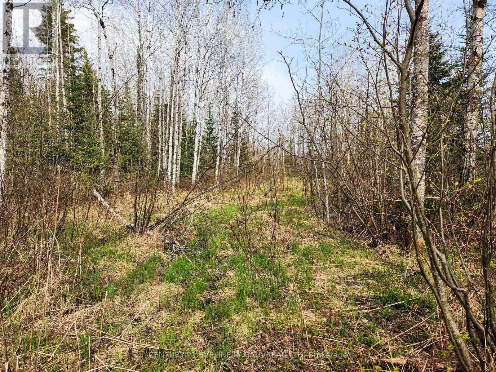Englehart (central Timiskaming), ON P0J1H0,N1/2 LT 9 CON 1