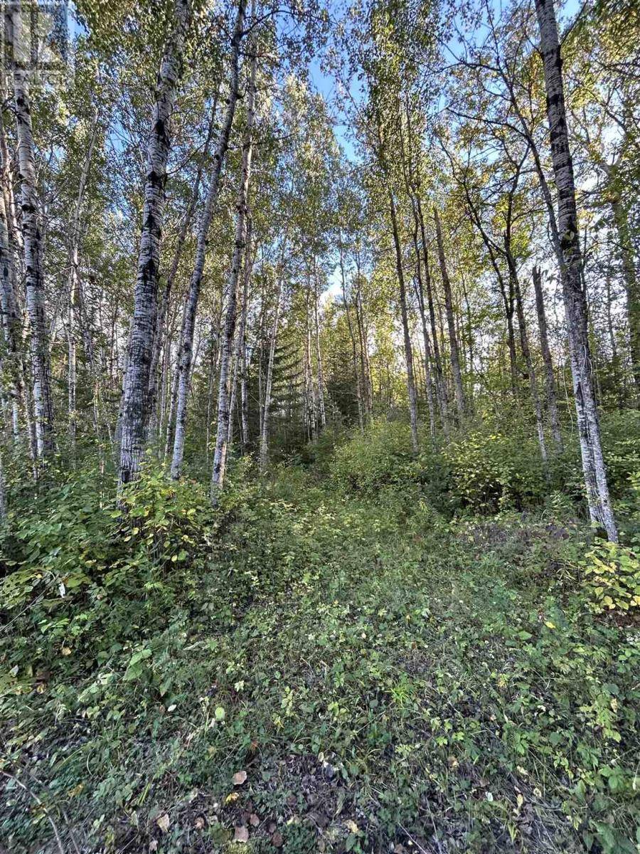 Fort Frances, ON P9A3M2,PCL 14215 Alberton Township
