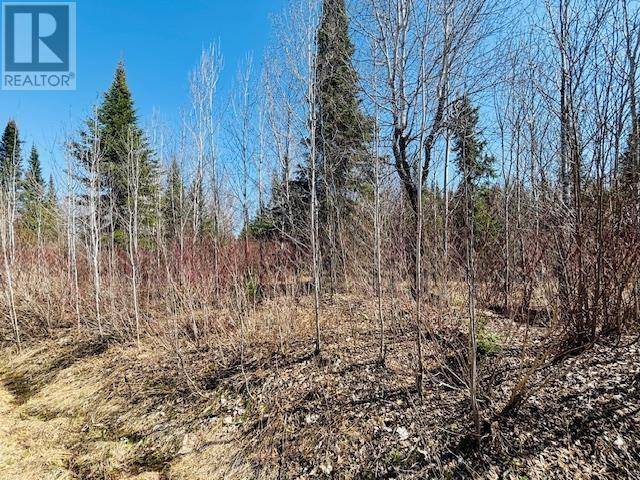 Kenora, ON P9N3W8,0 Hilly Lake Rd