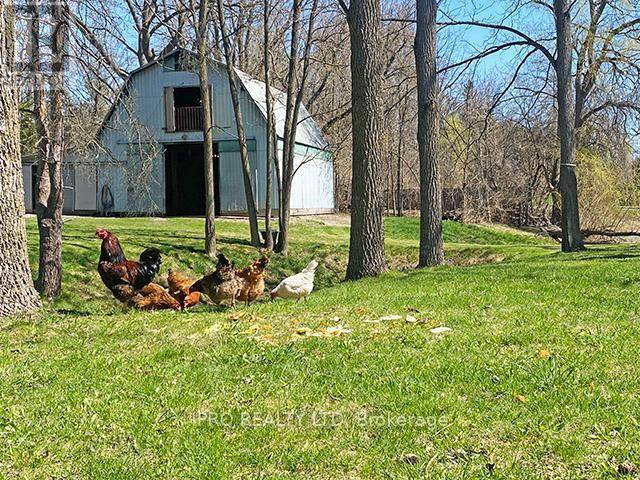 Caledon, ON L7C0H5,7454 OLD CHURCH ROAD