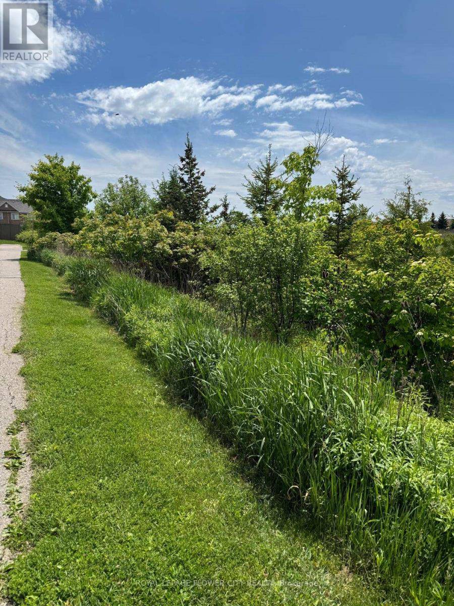 Milton (wi Willmott), ON L9T8R7,29 REICHERT COURT