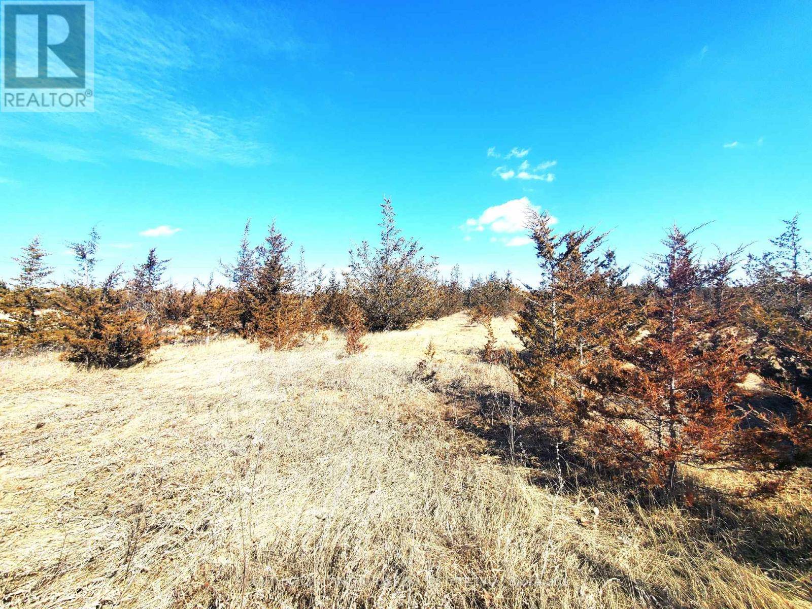 Greater Napanee, ON K0K2W0,521 HWY 41